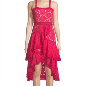 Alice and Olivia Angelita lace dress